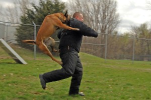 Tierabwehrspray - Kampfhunde abwehren